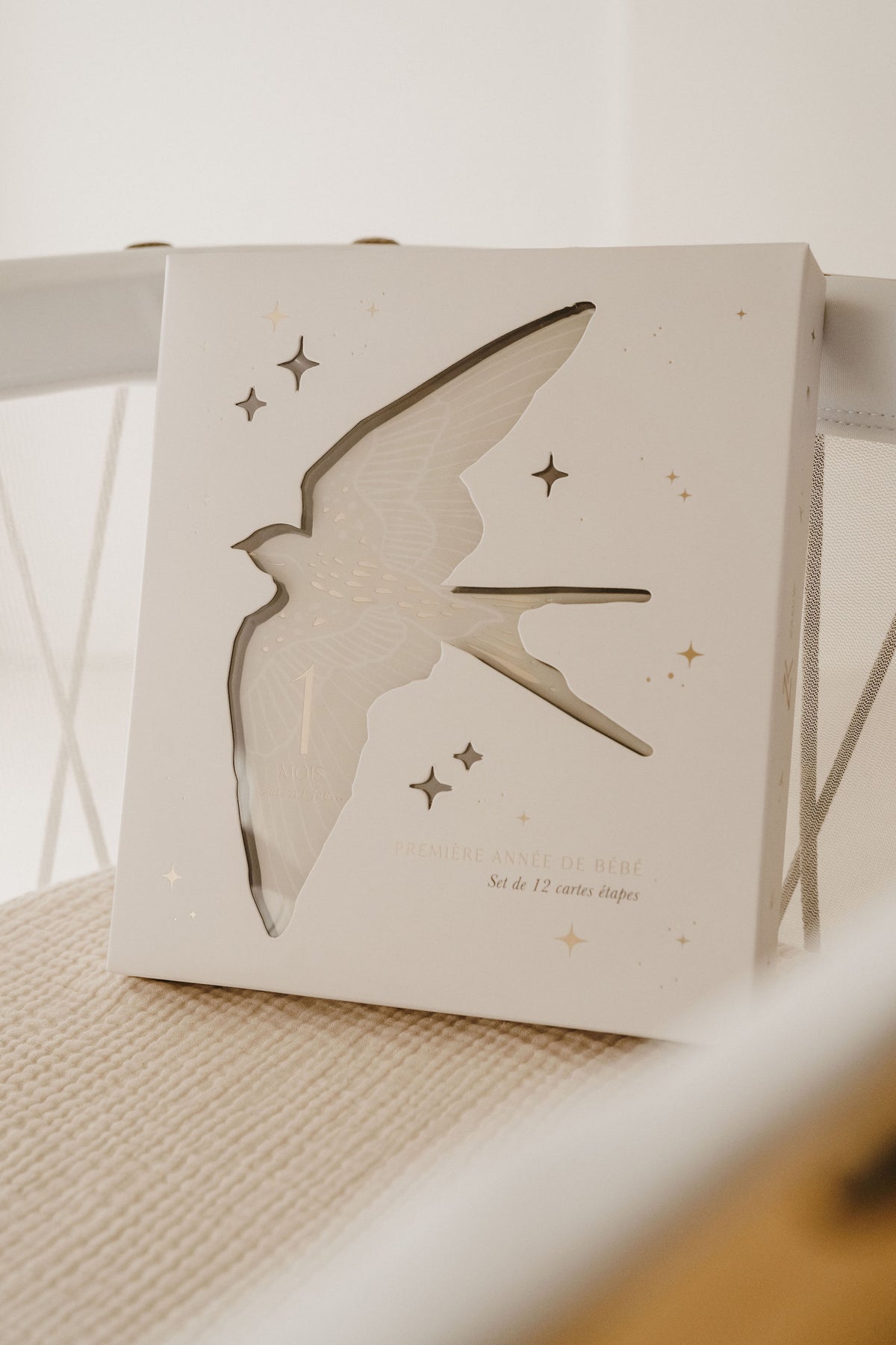 Cartes étapes Birds