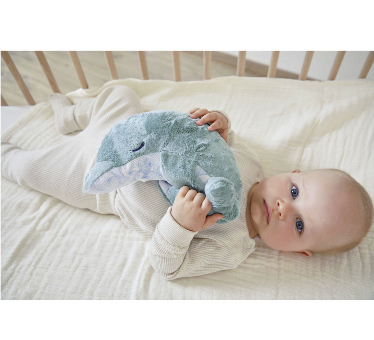 Peluche bouillotte chaud et froid Dauphin KALOO
