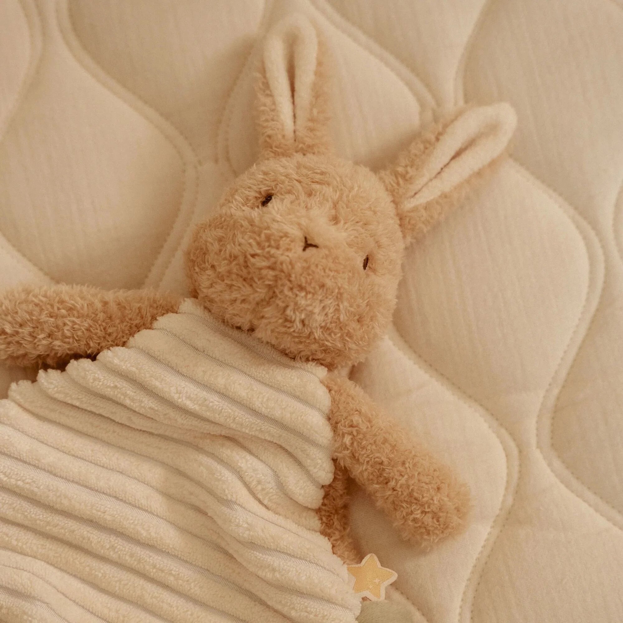 Doudou Lapin - Newborn