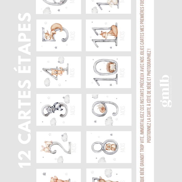 Cartes étapes bébé 12 mois dans les nuages GMLB