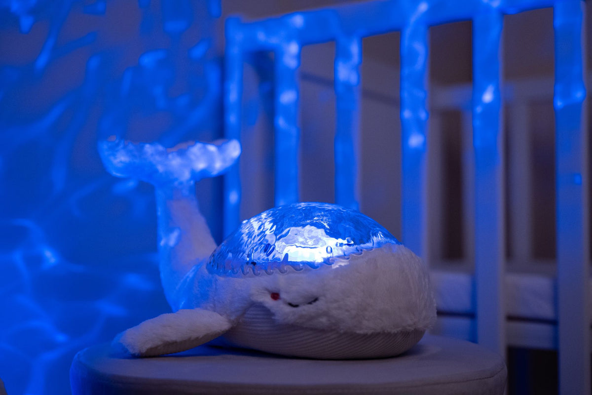 Veilleuse à projecteur Tranquil Whale™ - Blanc (Rechargeable)