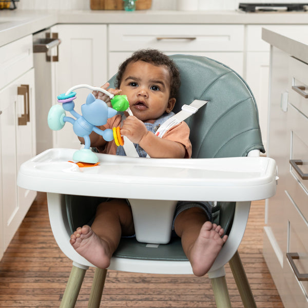 Jouet de table ventouse - Raton Laveur INFANTINO