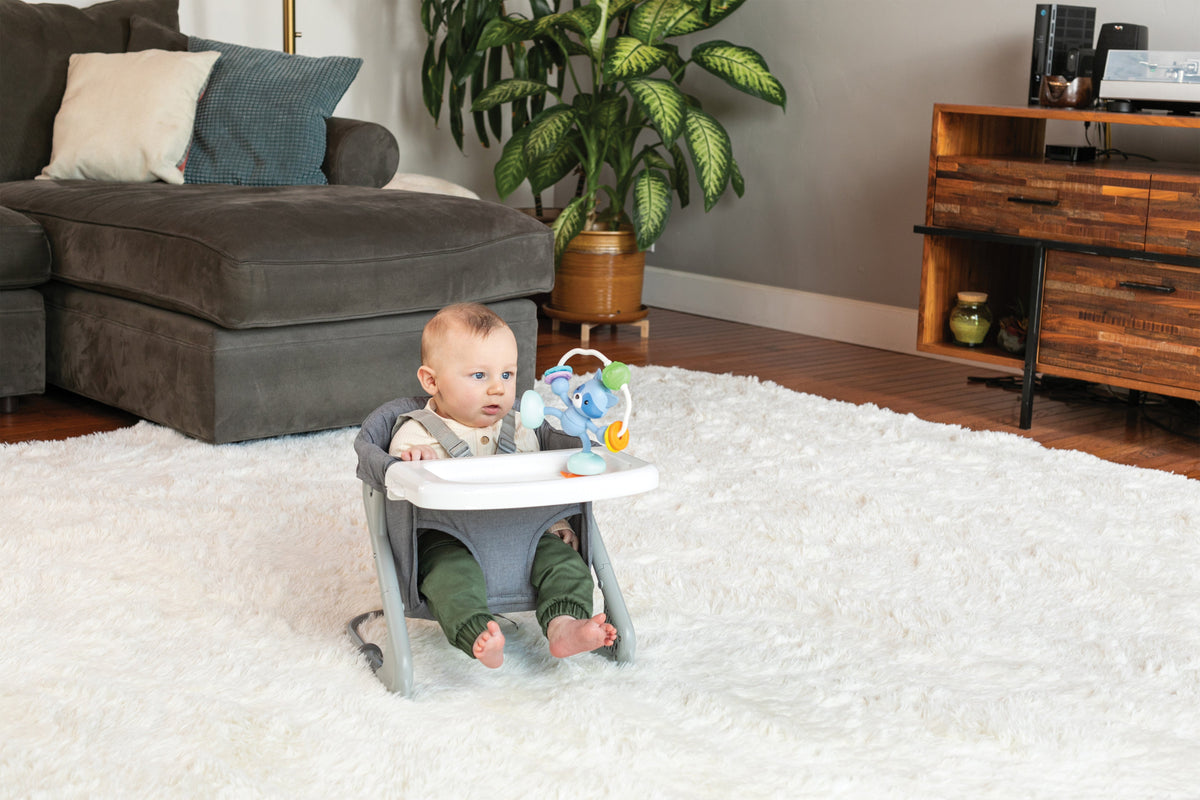 Jouet de table ventouse - Raton Laveur INFANTINO