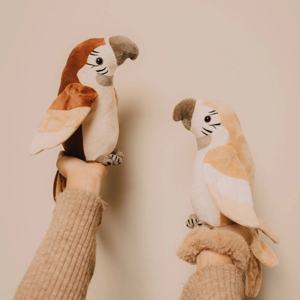 Découvrez Pierre 🦜, le perroquet qui répète tout avec sa voix drôle et ses ailes animées ! Un jouet interactif Montessori signé Mrs Ertha, idéal dès 3 ans.