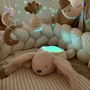 Veilleuse projection d'étoiles Rabbit Beige NATTOU