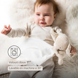 FANFAN Doudou câlin éléphant 27x27cm blanc cassé NATTOU