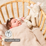 FANFAN Peluche musicale biche NATTOU