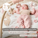 FANFAN Tapis d'éveil avec arches NATTOU