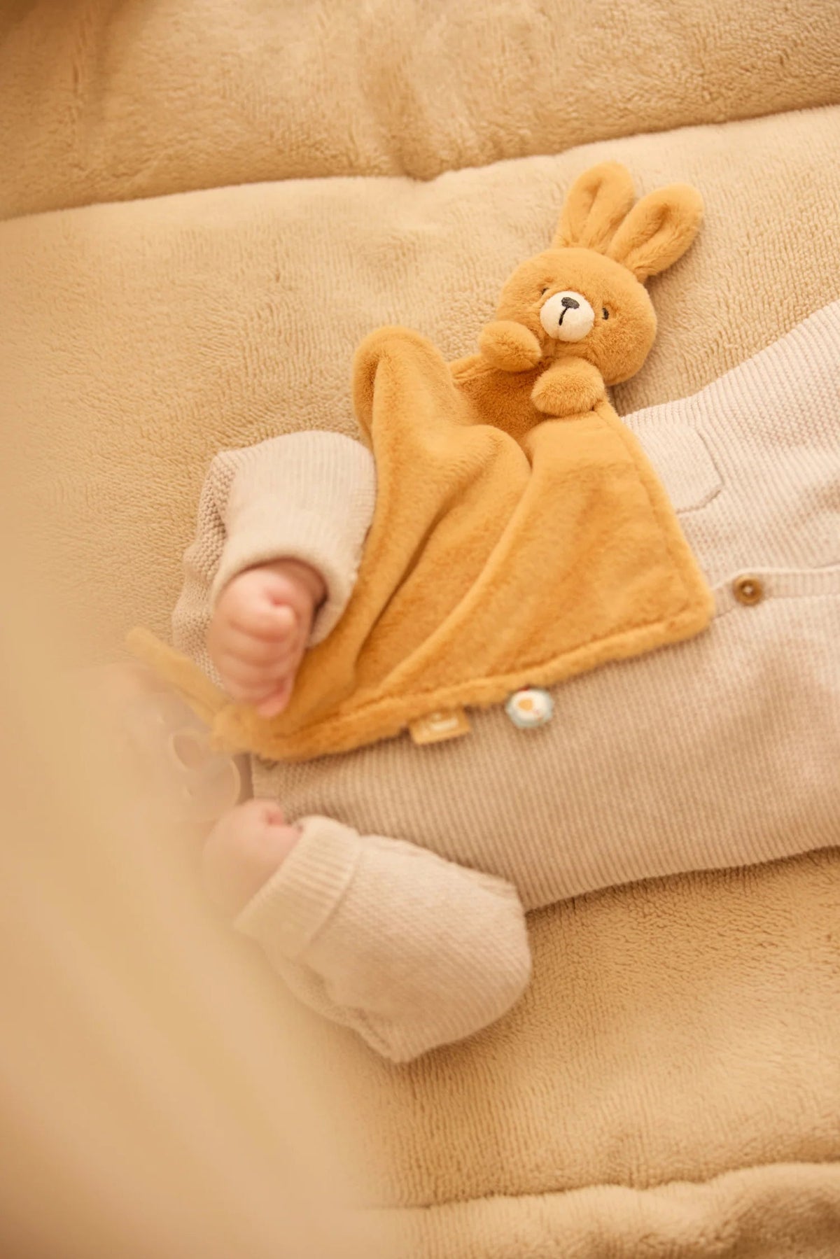 Attache-sucette Bunny Luz – Jollies – Jollein JOLLEIN