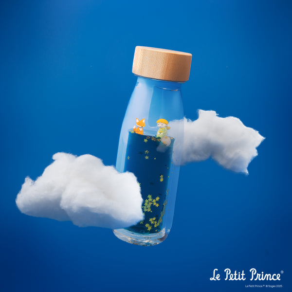 Bouteille sensorielle bébé inspirée du Petit Prince. Jouet d’éveil apaisant pour stimuler la curiosité et l’observation.