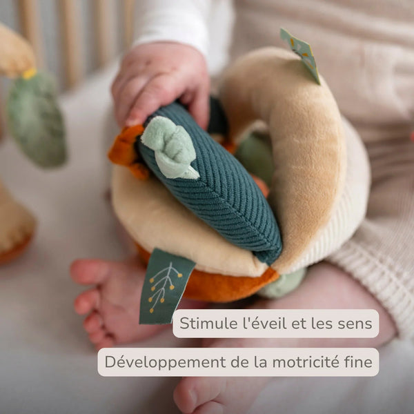 Balle d'activités Léon le Lion 15 cm – Nattou 🦁 NATTOU