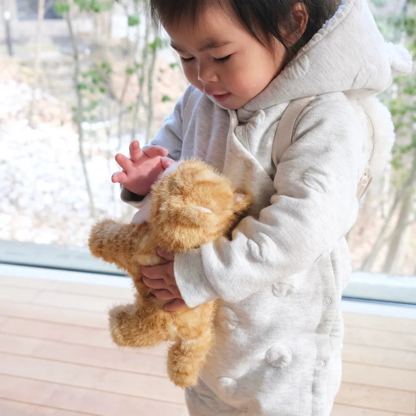 Ensemble Chat Roux – Jouet interactif et éducatif pour enfant