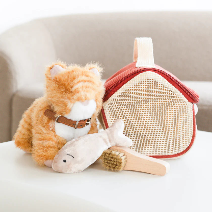 Ensemble Chat Roux – Jouet interactif et éducatif pour enfant