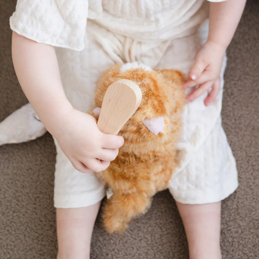 Ensemble Chat Roux – Jouet interactif et éducatif pour enfant