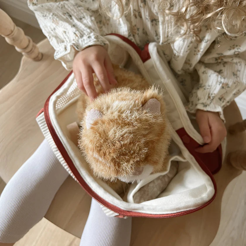 Ensemble Chat Roux – Jouet interactif et éducatif pour enfant