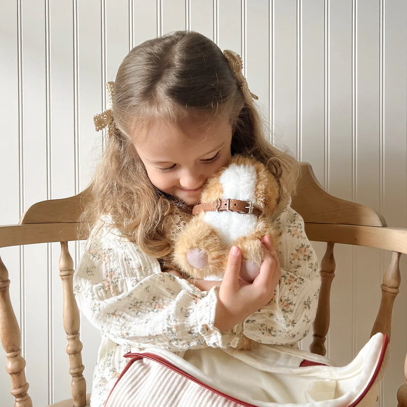 Ensemble Chat Roux – Jouet interactif et éducatif pour enfant