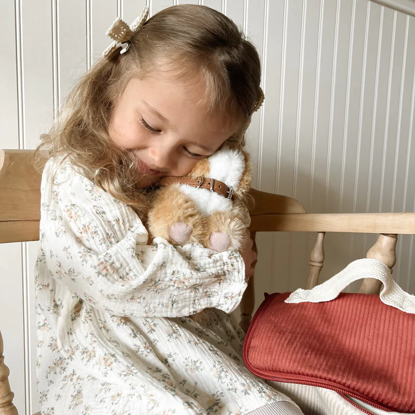 Ensemble Chat Roux – Jouet interactif et éducatif pour enfant