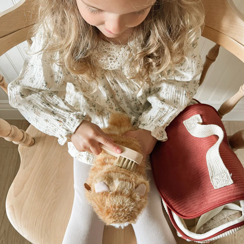 Ensemble Chat Roux – Jouet interactif et éducatif pour enfant