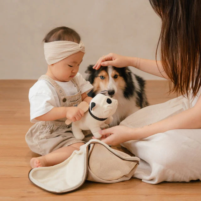 Ensemble Chiot Frenchie – Jouet interactif et éducatif pour enfant