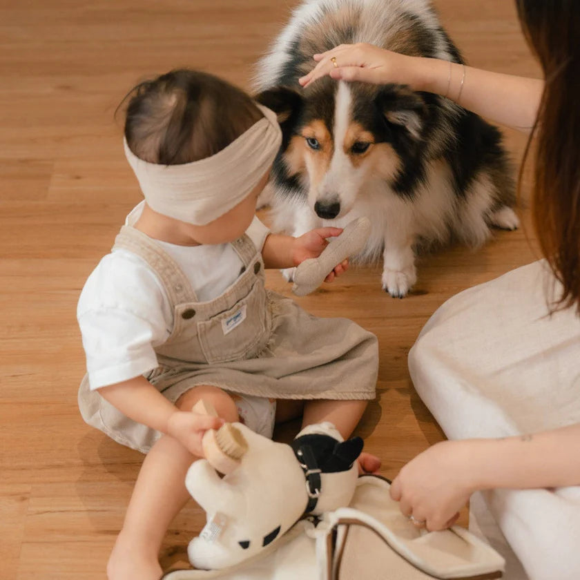 Ensemble Chiot Frenchie – Jouet interactif et éducatif pour enfant