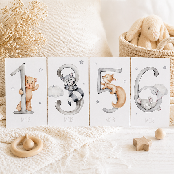 Cartes étapes bébé 12 mois dans les nuages