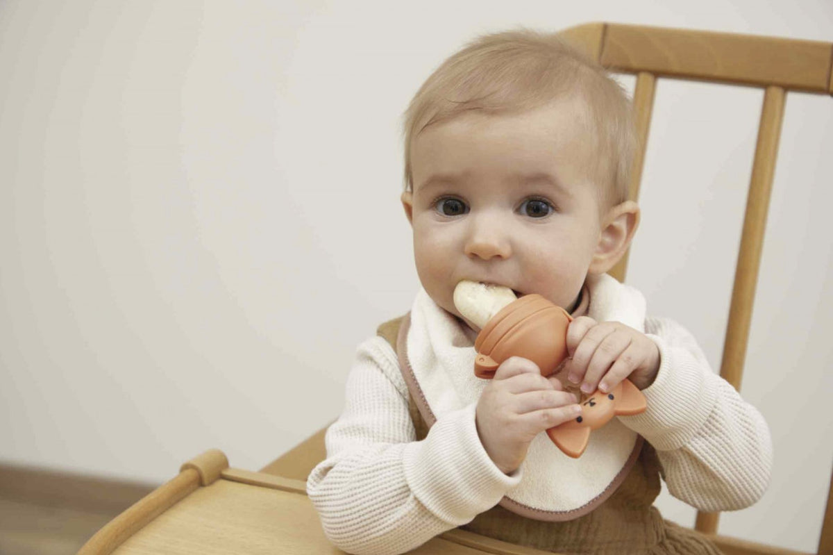 Coffret grignoteuse bébé 6 mois et bavoir assorti. Idéal pour la diversification alimentaire en toute sécurité.