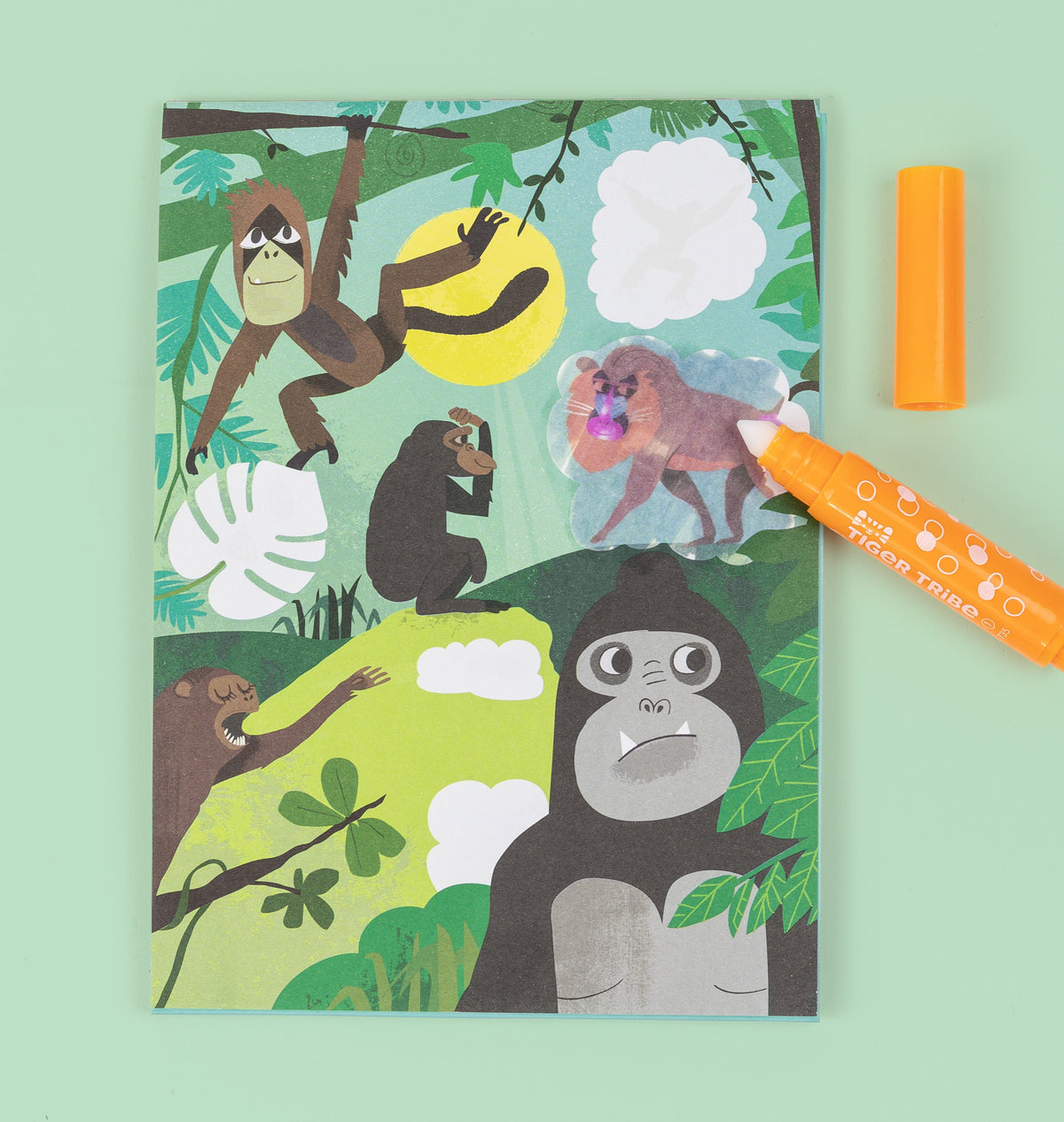 Coloriage magique enfant zoo – carnet coloriage sans tache 2 ans TIGER TRIBE