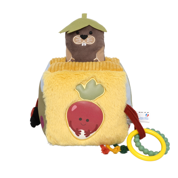 Cube d'éveil Potager – Un adorable jouet sensoriel pour bébé 🌱 LITTLE BIG FRIENDS