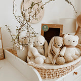 MyHummy Ourson beige 5en1 veilleuse MUHYMMY