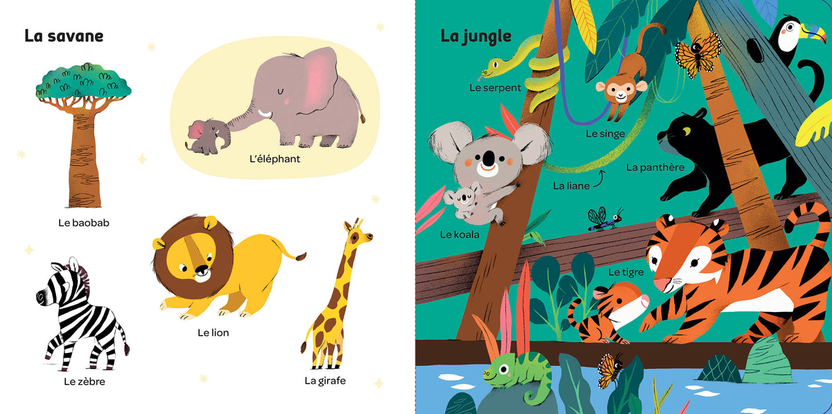 Mes 100 mots pour découvrir le monde est un premier imagier qui invite les tout-petits à découvrir 100 mots à travers 10 univers illustrés. Un livre d'éveil idéal pour développer le langage, la curiosité et le sens de l'observation.Imagier bébé avec 100 mots illustrés pour développer le vocabulaire, l'observation et la découverte du monde dès le plus jeune âge.