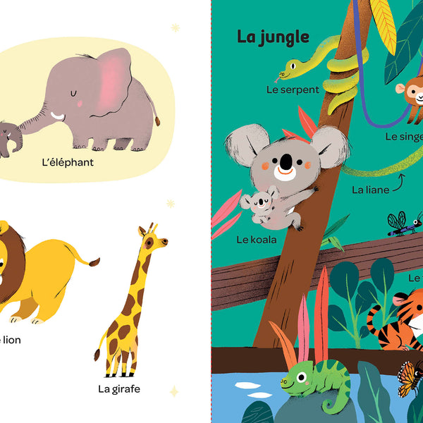 Mes 100 mots pour découvrir le monde est un premier imagier qui invite les tout-petits à découvrir 100 mots à travers 10 univers illustrés. Un livre d'éveil idéal pour développer le langage, la curiosité et le sens de l'observation.Imagier bébé avec 100 mots illustrés pour développer le vocabulaire, l'observation et la découverte du monde dès le plus jeune âge.