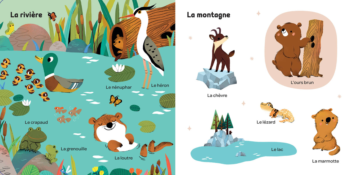 Mes 100 mots pour découvrir le monde est un premier imagier qui invite les tout-petits à découvrir 100 mots à travers 10 univers illustrés. Un livre d'éveil idéal pour développer le langage, la curiosité et le sens de l'observation.Imagier bébé avec 100 mots illustrés pour développer le vocabulaire, l'observation et la découverte du monde dès le plus jeune âge.