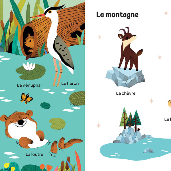 Mes 100 mots pour découvrir le monde est un premier imagier qui invite les tout-petits à découvrir 100 mots à travers 10 univers illustrés. Un livre d'éveil idéal pour développer le langage, la curiosité et le sens de l'observation.Imagier bébé avec 100 mots illustrés pour développer le vocabulaire, l'observation et la découverte du monde dès le plus jeune âge.