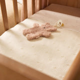 Attache Sucette Teddy Bear - Rose JOLLEIN