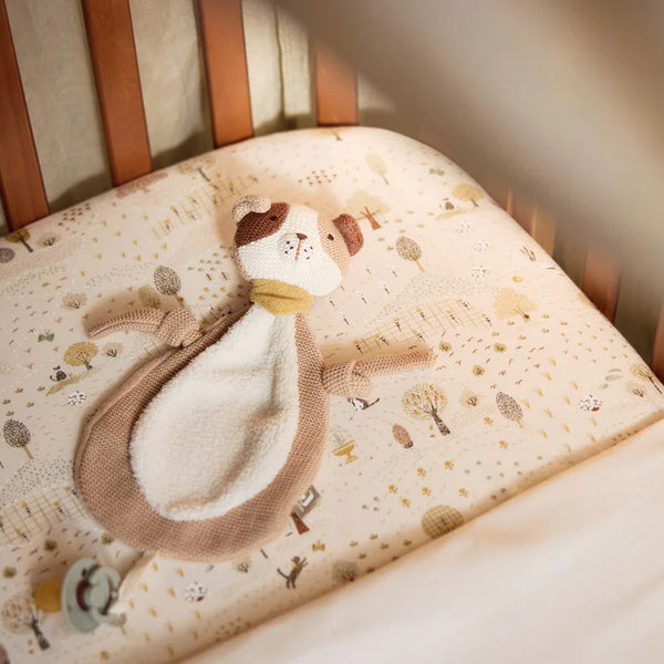 Drap-housse Jersey 60x120cm – Tiny Park 🐻🎈