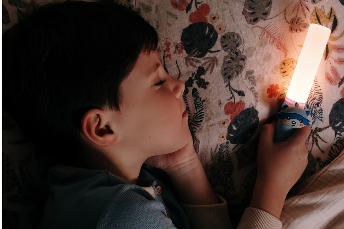 Lampe veilleuse enfant Zoo Light – Raton laveur – The Zoofamily