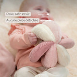 Balle d’activités Lapidou – 17 cm – rose – Nattou NATTOU
