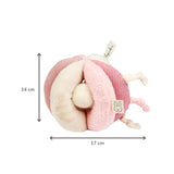 Balle d’activités Lapidou – 17 cm – rose – Nattou NATTOU