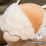 Balle d’activités Lapidou – 15 cm Beige NATTOU