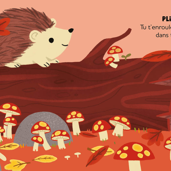 Histoires à Câliner – Au Cœur de la Forêt 🌳🦊 AUZOU
