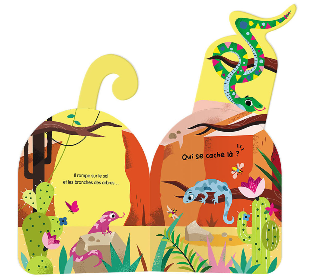 Mon coucou sonore – À qui sont ces queues d'animaux ? est un livre sonore interactif qui invite les enfants à jouer à cache-cache avec les animaux. En tirant sur les queues et les oreilles, ils découvrent les animaux cachés tout en écoutant leurs cris. Une lecture ludique idéale pour éveiller les sens.Livre sonore bébé avec animations à tirer et cris d'animaux pour développer la motricité fine, l'éveil auditif et la curiosité des tout-petits.