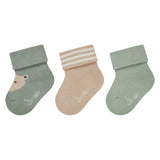 Lot de 3 paires de chaussettes bébé Ourson – 2 coloris & uni – 2/3 mois STERNTALER