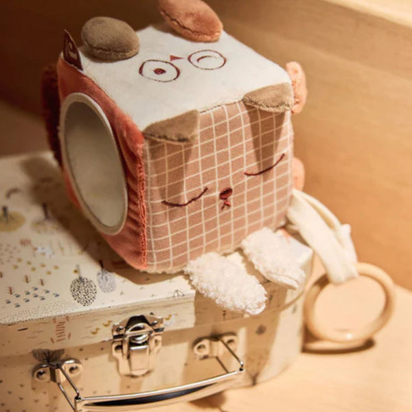 Cube d'Activités - Animal Friends