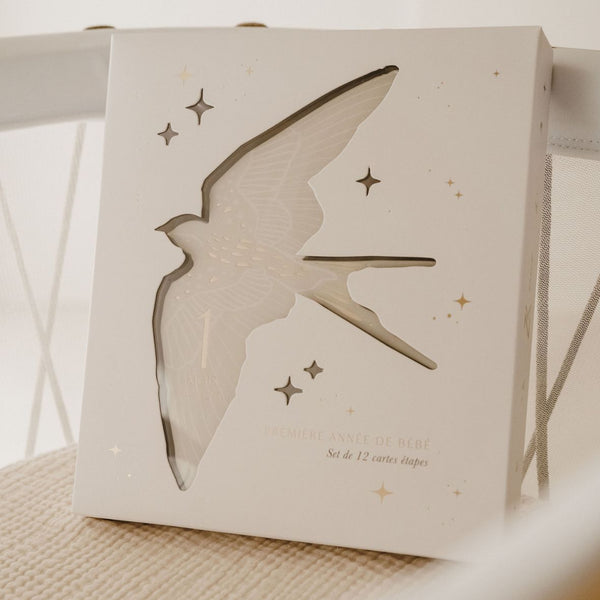 Cartes étapes Birds