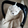 Offrez des nuits sereines à bébé avec la peluche bruit blanc Lou 🐻. Portable et douce, sons apaisants (battements de cœur & bruit blanc), idéale poussette, siège auto & voyages
