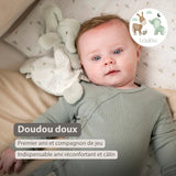 Mini doudou Éléphant LouLou – 25 cm – Vert tilleul & écru – Nattou NATTOU