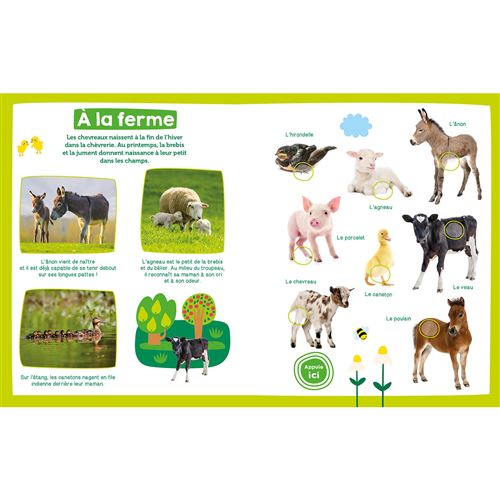 Mon imagier sonore – Bébés animaux 1 2 3 SOLEIL