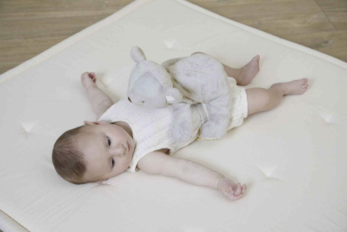 Peluche lestée bébé Koala – 26 cm