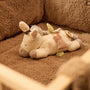 Une peluche d’activités réunit plusieurs expériences sensorielles dans un compagnon doux et rassurant. Sons, textures, miroir et éléments à manipuler éveillent la curiosité de bébé et l’encouragent à exercer sa préhension et sa coordination au fil de ses découvertes. Peluche d’activités Donkey Dinky Jollein 36 cm avec miroir, clochette, textures et éléments bruissants pour stimuler les sens de bébé dès la naissance.