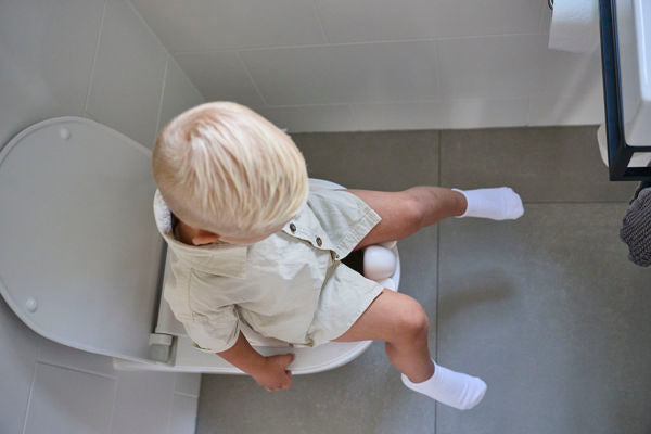 Réducteur de Toilette Pliable Dooky – L'apprentissage de la propreté en toute confiance 🚽🤎 DOOKY MIFFY